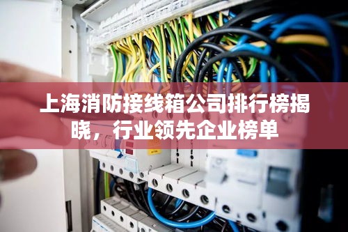 上海消防接线箱公司排行榜揭晓，行业领先企业榜单