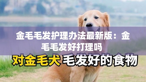 金毛毛发护理办法最新版：金毛毛发好打理吗 