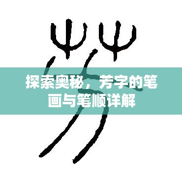 探索奥秘，芳字的笔画与笔顺详解