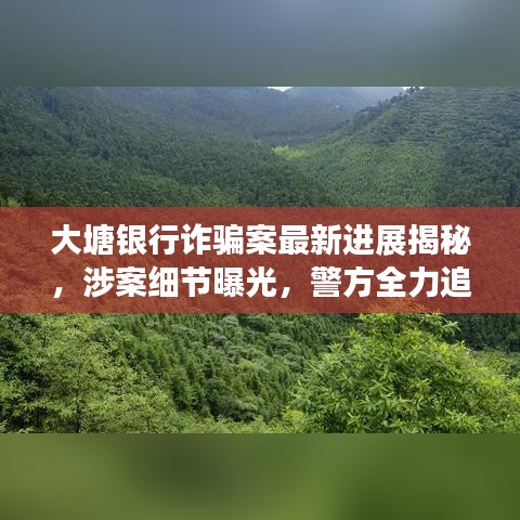 大塘银行诈骗案最新进展揭秘，涉案细节曝光，警方全力追查资金流向