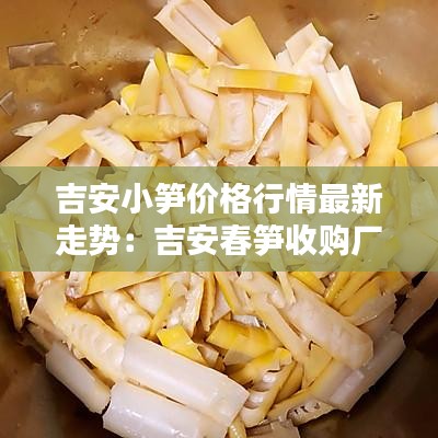 吉安小笋价格行情最新走势：吉安春笋收购厂家联系电话 