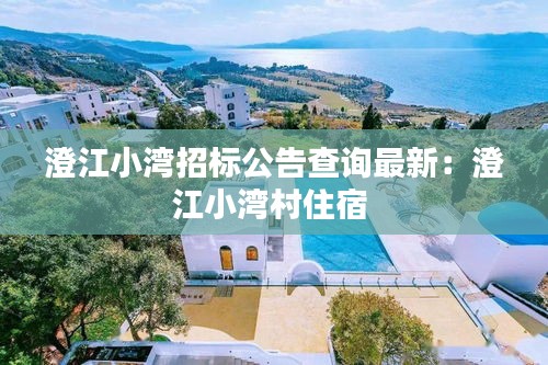 澄江小湾招标公告查询最新：澄江小湾村住宿 