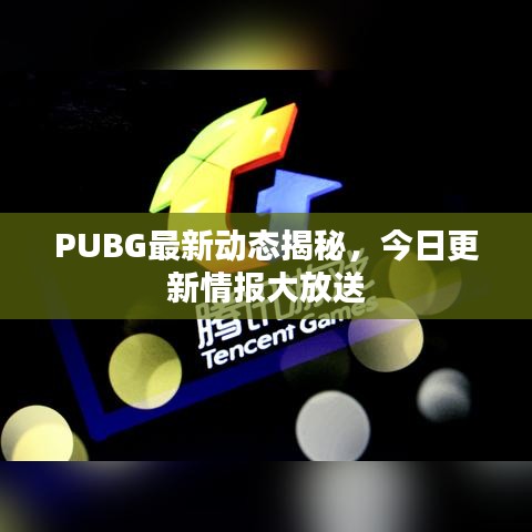 PUBG最新动态揭秘，今日更新情报大放送