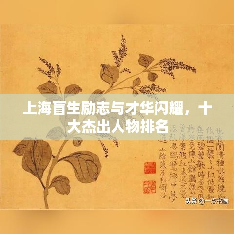 上海盲生励志与才华闪耀，十大杰出人物排名