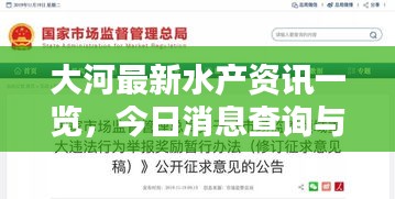 大河最新水产资讯一览，今日消息查询与违法犯罪问题探讨