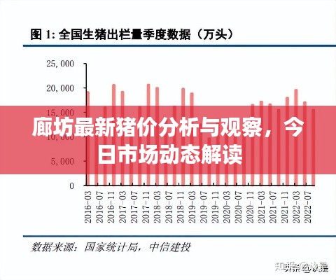 廊坊最新猪价分析与观察，今日市场动态解读