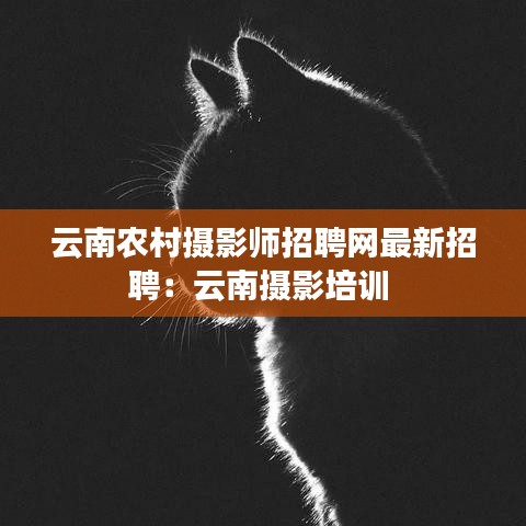 云南农村摄影师招聘网最新招聘：云南摄影培训 