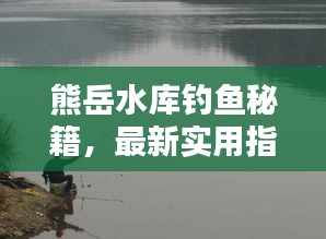 熊岳水库钓鱼秘籍，最新实用指南