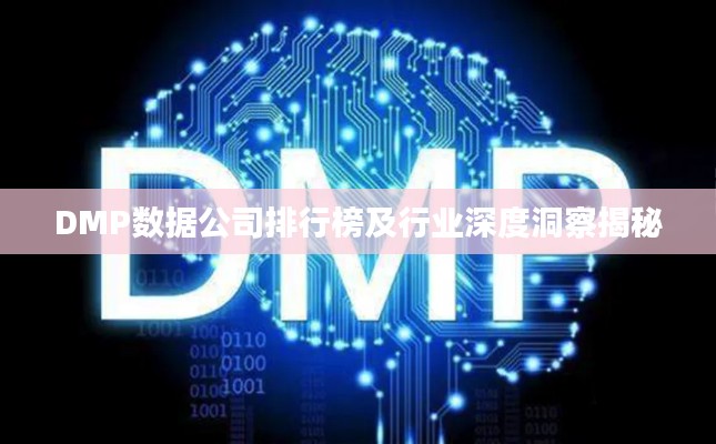 DMP数据公司排行榜及行业深度洞察揭秘