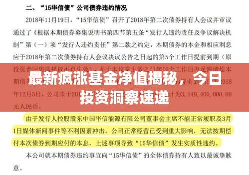 最新疯涨基金净值揭秘，今日投资洞察速递