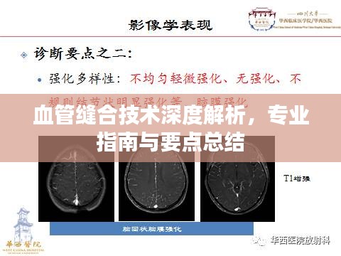 血管缝合技术深度解析，专业指南与要点总结