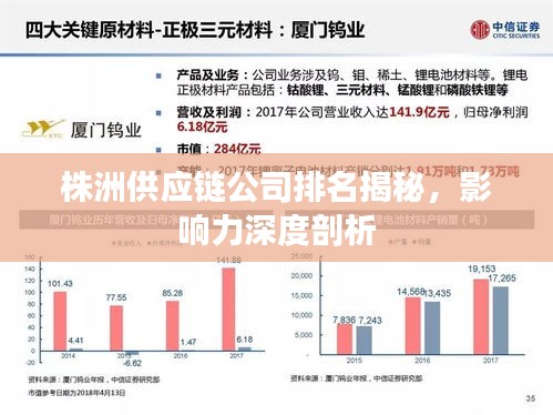 株洲供应链公司排名揭秘，影响力深度剖析