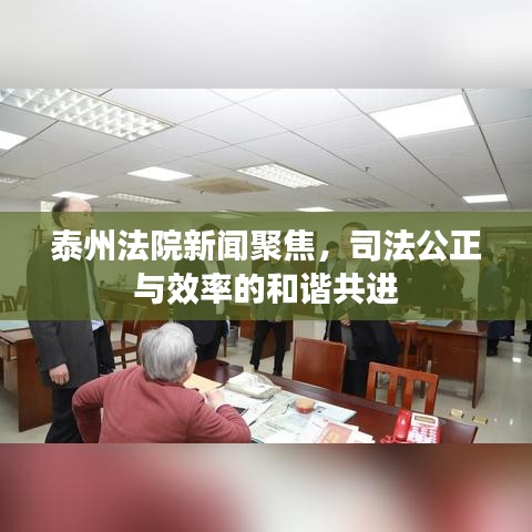 泰州法院新闻聚焦，司法公正与效率的和谐共进