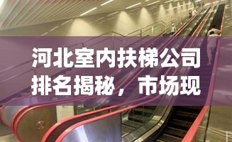 河北室内扶梯公司排名揭秘，市场现状深度解析