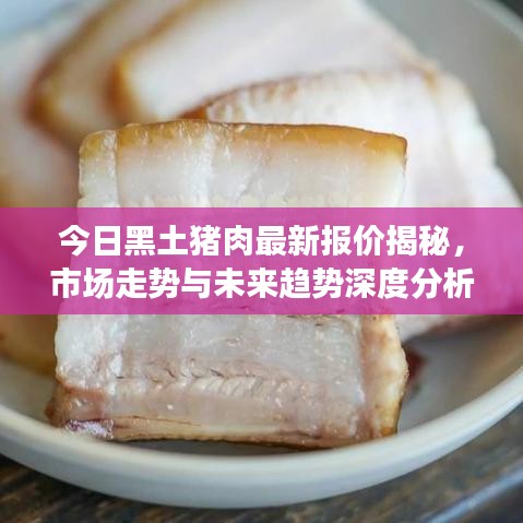 今日黑土猪肉最新报价揭秘，市场走势与未来趋势深度分析