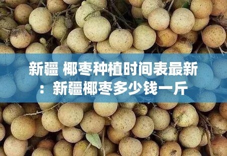 新疆 椰枣种植时间表最新：新疆椰枣多少钱一斤 