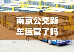 南京公交新车运营了吗最新消息：2021南京公交车恢复状况 