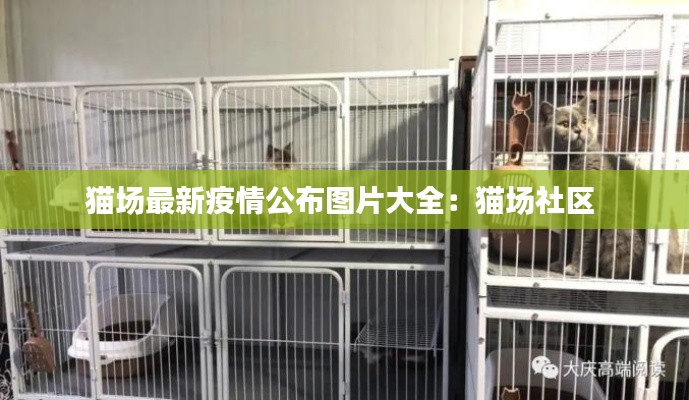 猫场最新疫情公布图片大全：猫场社区 