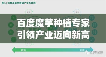 百度魔芋种植专家引领产业迈向新高度，魔芋产业蓬勃发展！