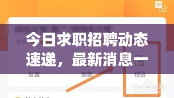 今日求职招聘动态速递，最新消息一网打尽，职场策略助你求职无忧！