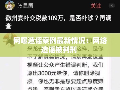 网曝造谣案例最新情况：网络造谣被判刑 