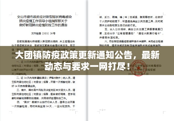 大团镇防疫政策更新通知公告，最新动态与要求一网打尽！