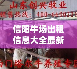 信阳牛场出租信息大全最新：信阳肉牛养殖场 