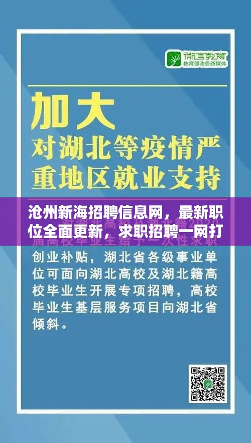 沧州新海招聘信息网，最新职位全面更新，求职招聘一网打尽