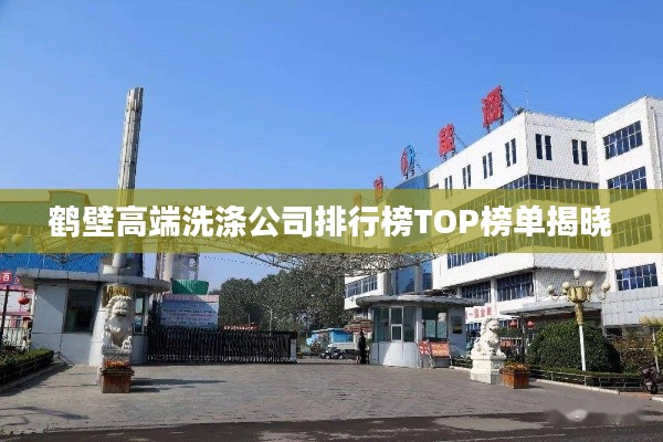 鹤壁高端洗涤公司排行榜TOP榜单揭晓