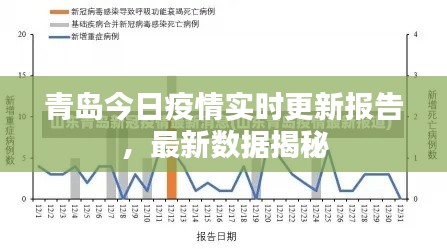 青岛今日疫情实时更新报告，最新数据揭秘