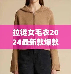 拉链女毛衣2024最新款爆款：拉链毛衣配啥外套 