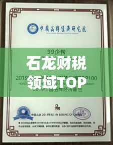 石龙财税领域TOP10企业成功秘诀大揭秘！