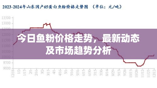 今日鱼粉价格走势，最新动态及市场趋势分析