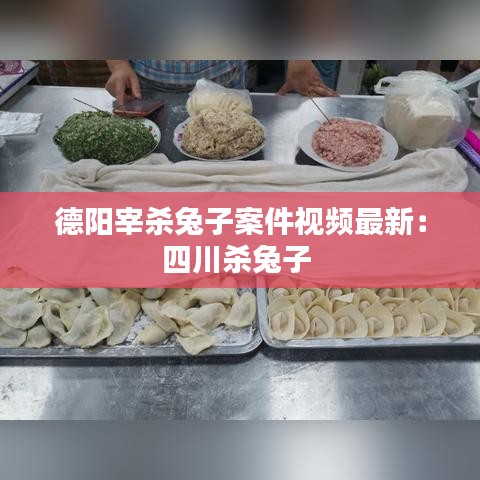 德阳宰杀兔子案件视频最新：四川杀兔子 