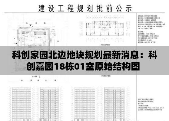 科创家园北边地块规划最新消息：科创嘉园18栋01室原始结构图 