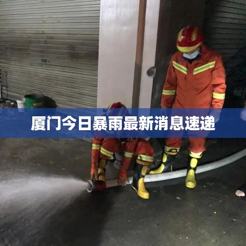 厦门今日暴雨最新消息速递