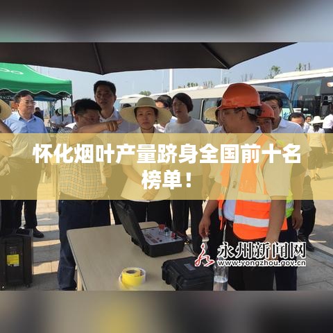 怀化烟叶产量跻身全国前十名榜单！