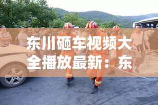 东川砸车视频大全播放最新：东川公路车祸 