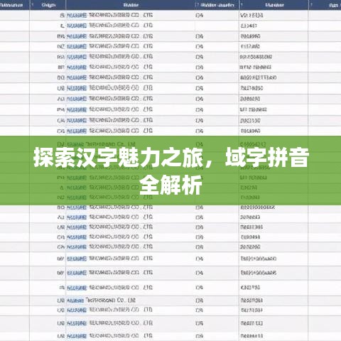 探索汉字魅力之旅，域字拼音全解析