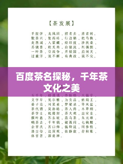 百度茶名探秘，千年茶文化之美