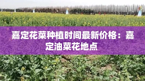 嘉定花菜种植时间最新价格：嘉定油菜花地点 