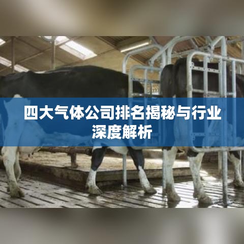 四大气体公司排名揭秘与行业深度解析