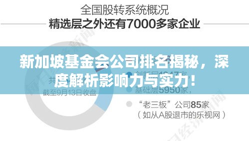 新加坡基金会公司排名揭秘，深度解析影响力与实力！