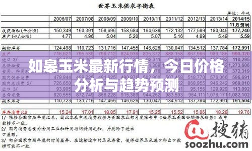 如皋玉米最新行情，今日价格分析与趋势预测