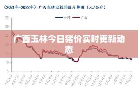 广西玉林今日猪价实时更新动态