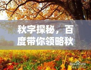 秋字探秘，百度带你领略秋之魅力