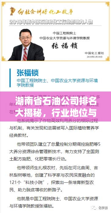 湖南省石油公司排名大揭秘，行业地位与影响力解析