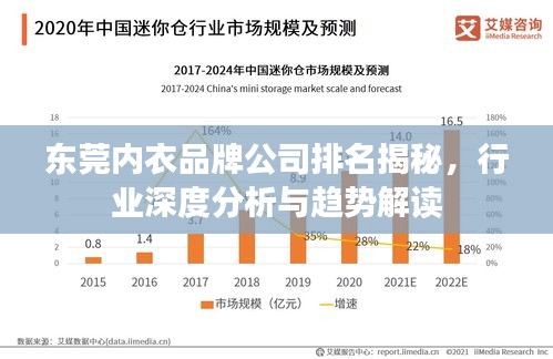 东莞内衣品牌公司排名揭秘，行业深度分析与趋势解读