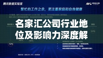 名家汇公司行业地位及影响力深度解析