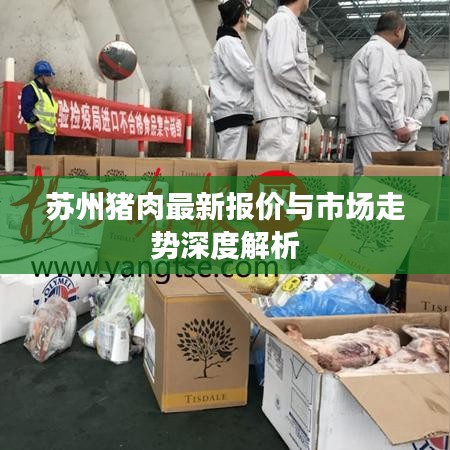 苏州猪肉最新报价与市场走势深度解析